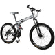 Electric bicycles dual disc brakes variable speed road bikes