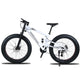 High quality Mountain bike 26 Fatbike