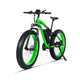 Electric bike 1000W electric fat bike beach bike cruiser
